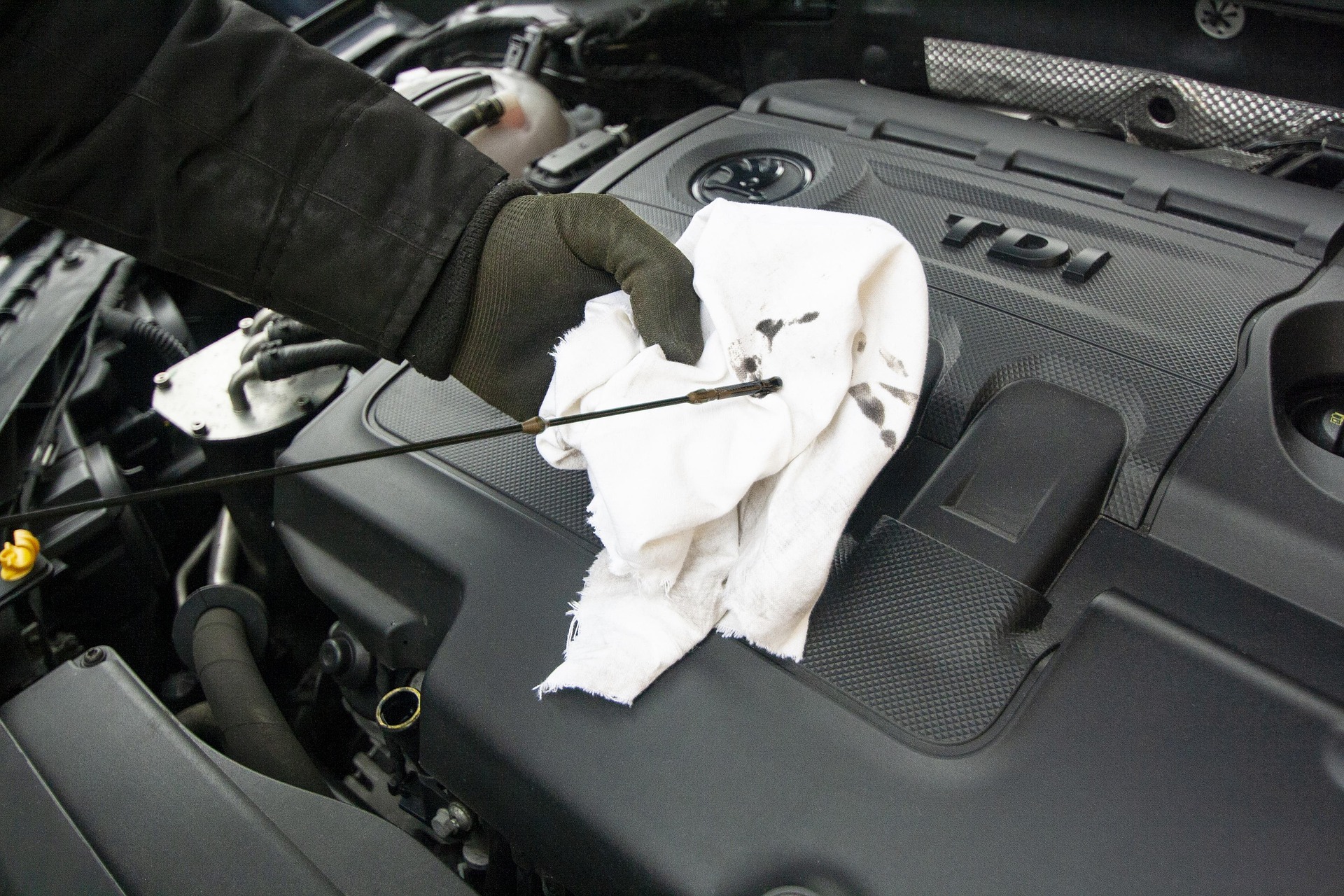 Person changing Oil